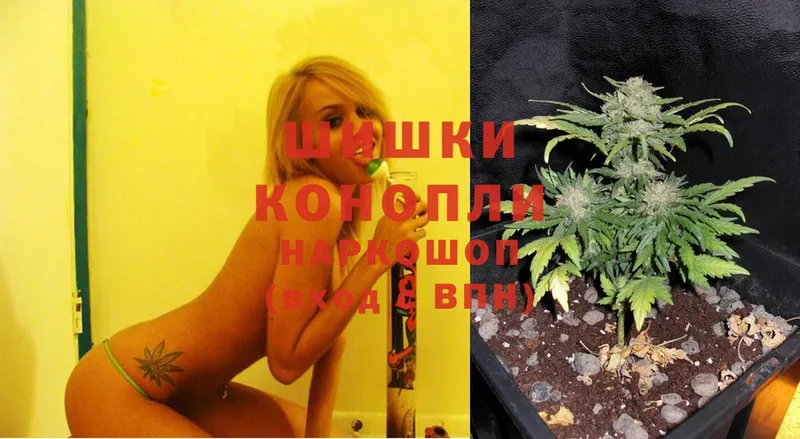 kraken как зайти  Братск  Конопля Ganja 